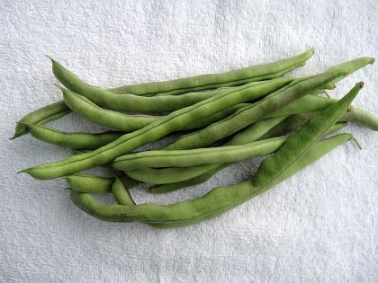 Nichols Black Appalachian Bean